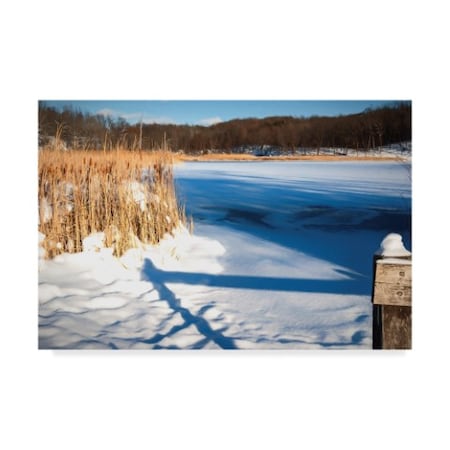 Anthony Paladino 'Cattails And Post In Snow Along Pond' Canvas Art,22x32